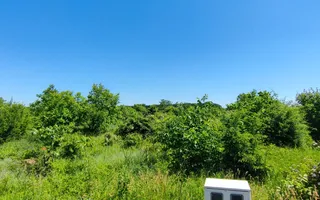 Lot pentru două case – Corbeanca Tamași - Poză 12