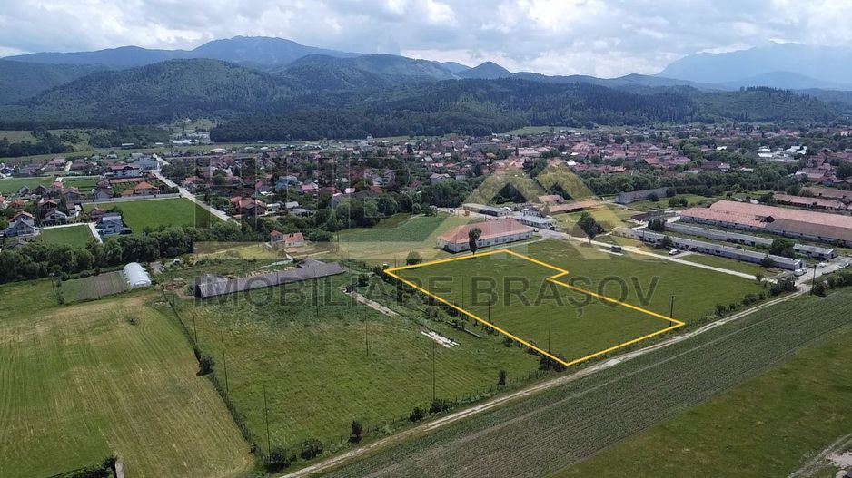 Oportunitate Investitie Cristian | Intravilan | Necesar PUZ | 9.650mp - Poză 3