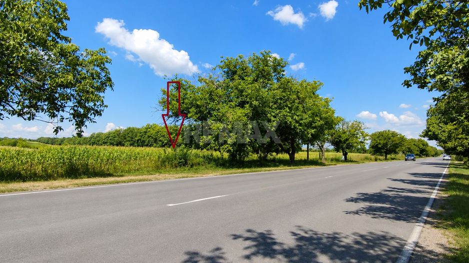 Teren pentru construcții – 24 ari | Prima linie | Chetrosu, Anenii Noi - Poză 6