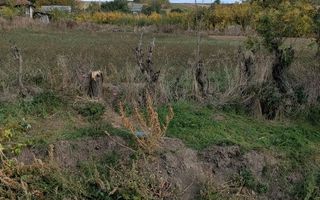 Teren intravilan 1100 mp, sat Avântu, comuna Romanești, județul Iași - Poză 5