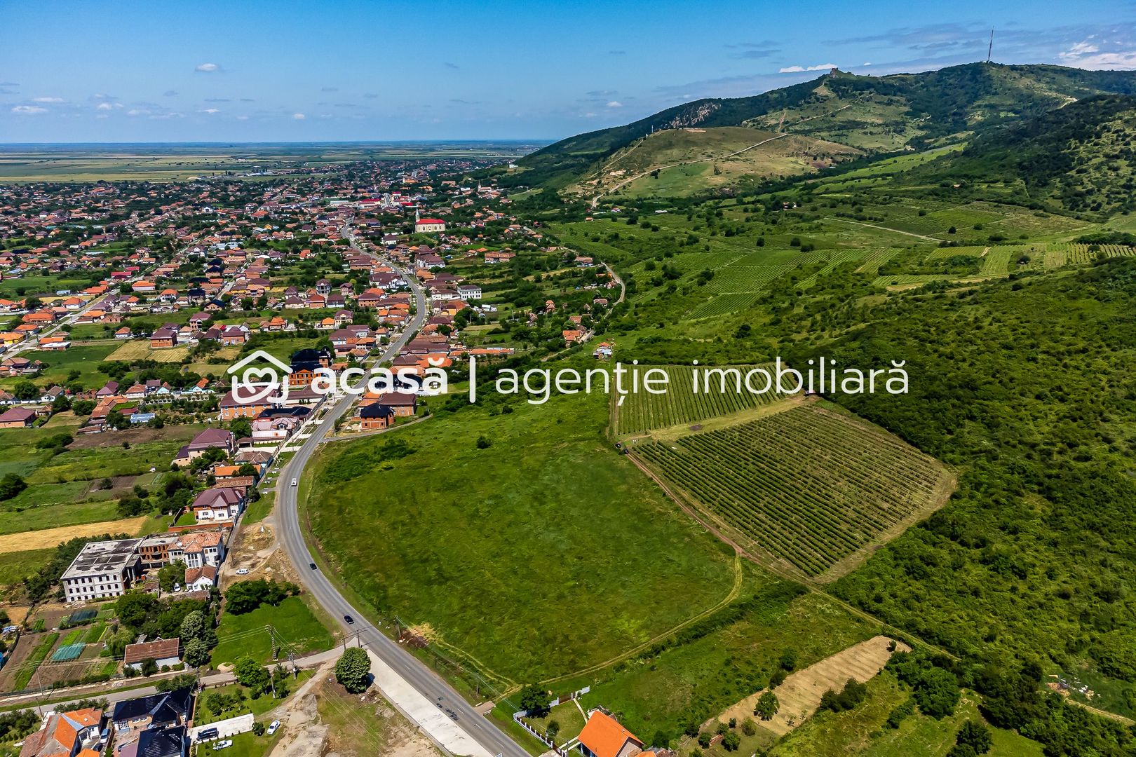 PRET REDUS Oportunitate de afacere, Teren cu vita de vie - Poză 4