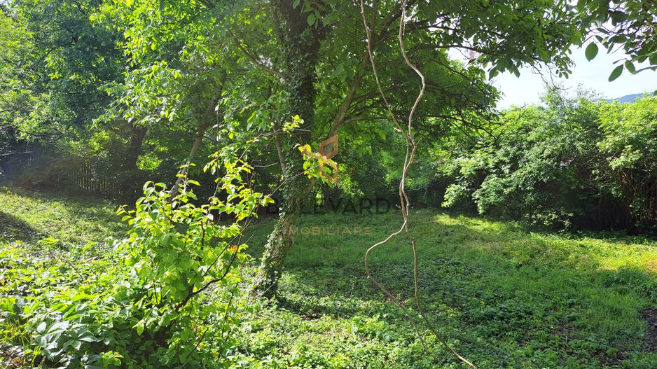 Teren intravilan 1785 mp, front la 2 strazi, pretabil constructie case - Poză 9