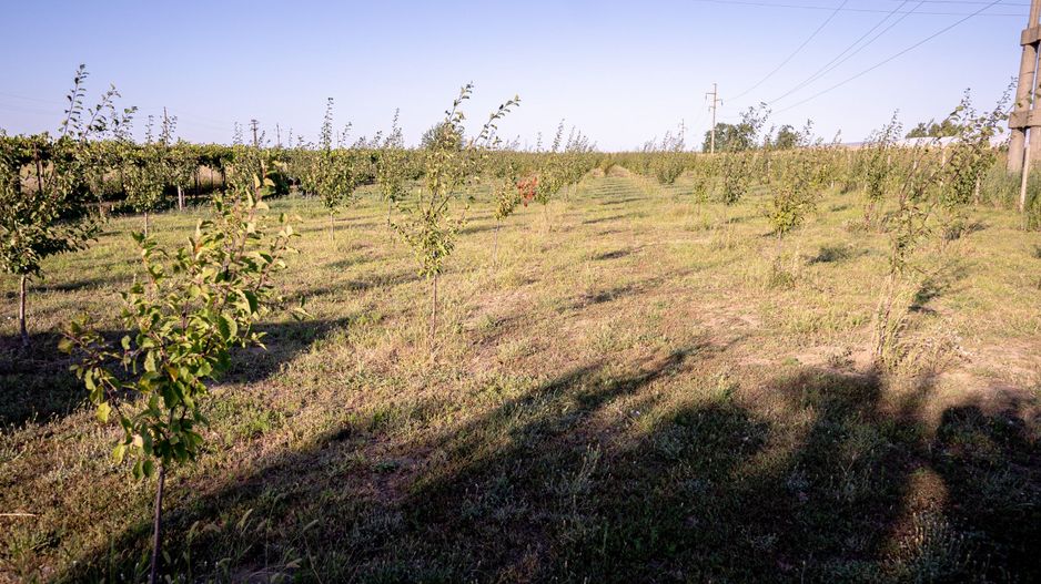 Casă de vânzare Furceni – 7 camere, teren 8.000 m - Poză 29