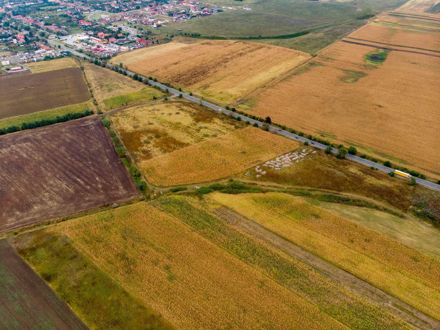 Teren de 19798mp în Zimandu Nou - Poză 10