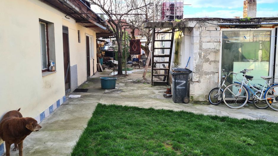 BRASADAS vinde casa 4 csm teren 5 ari zona 14 Msi. - Poză 2