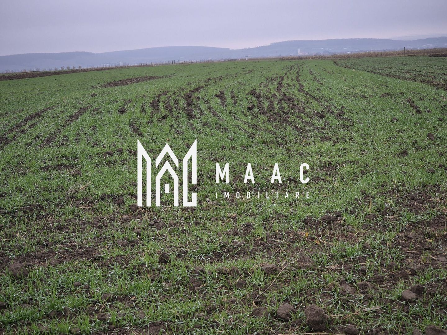 Teren extravilan | Gura raului | 2250 MP - Poză 3