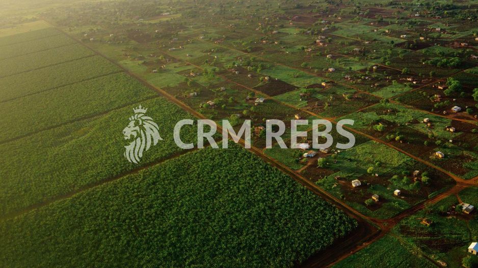 Vanzare teren 450 mp, cu Autorizatie de Constructie Casa 290 mp utili ! - Poză 2