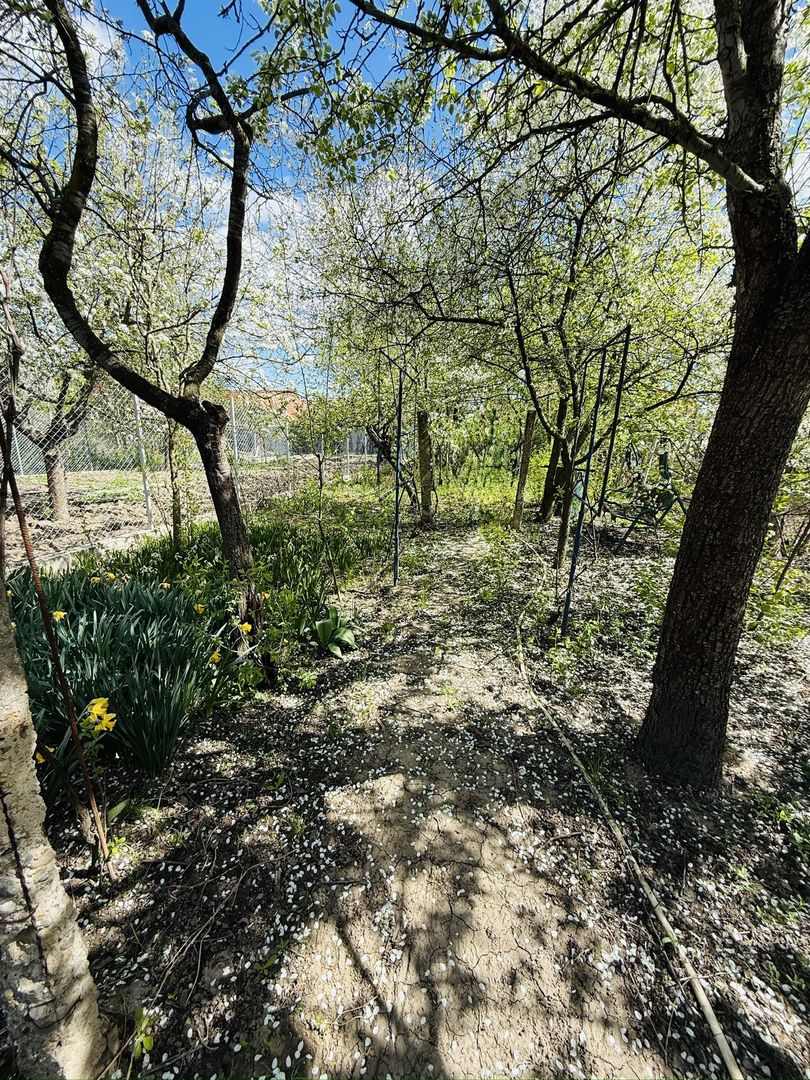 Ciarda Roșie | 2 case în curte | Teren 700 mp | Garaj | Toate utilitățile - Poză 6