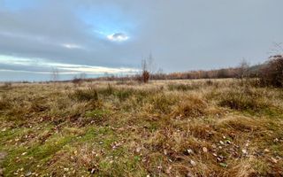 Teren extravilan 6.500 mp – două căi de acces, Cârțișoara - Poză 5