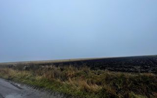 TEREN EXTRAVILAN | DOUA PARCELE| 70 ARI| IDEAL AGRICOL| CALAFINDESTI - Poză 4