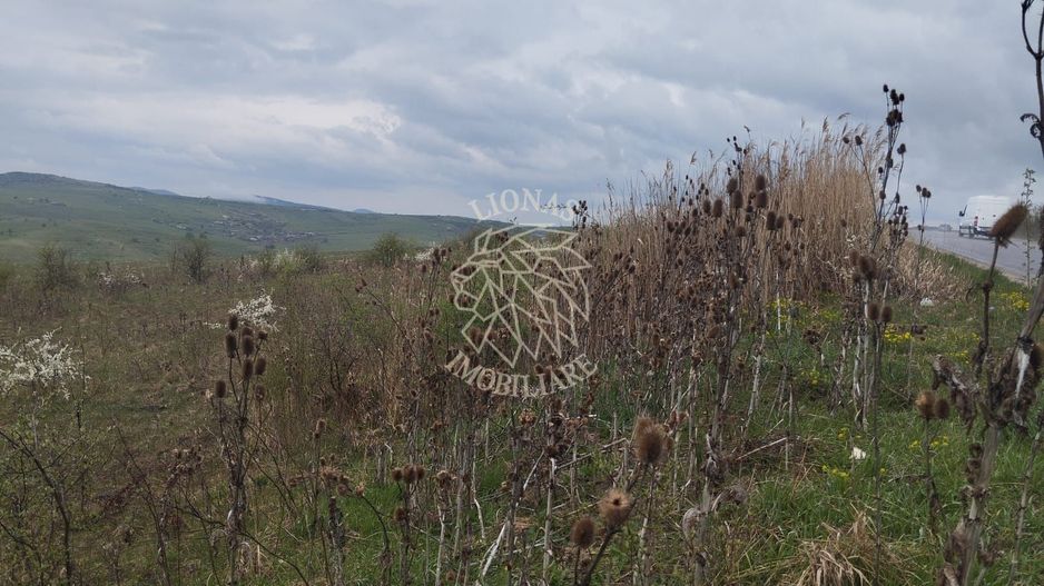 Teren 2100 mp-ideal casa de vacanta, investitie-Budacu de Jos - Poză 4