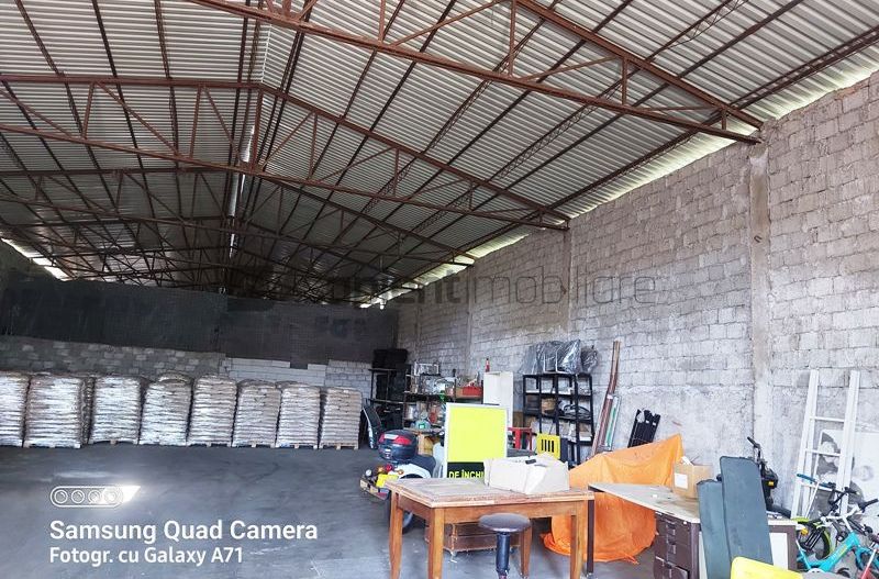 Hala ideala pentru depozitare str.Santaului - Poză 8