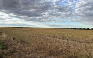 Teren intravilan Branesti - Poză 3