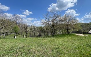 Conac 10 camere | renovat integral | Arefu | Baraj Vidraru - Poză 7