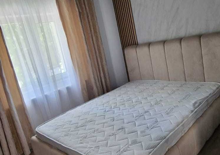 Lipovei | 3 Camere | Garaj | Centrala Proprie. - Poză 2