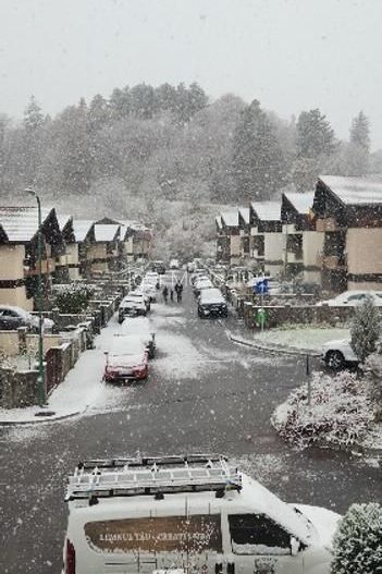 Cartierul Green Park Villas casa cu 3 dormitoare 1300 euro neg - Poză 2