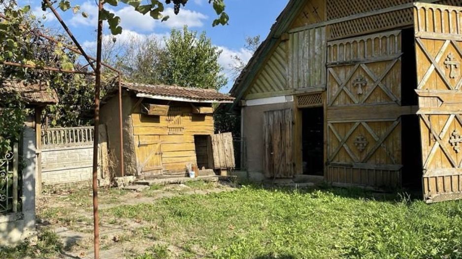 Vand casa la tara - Poză 6