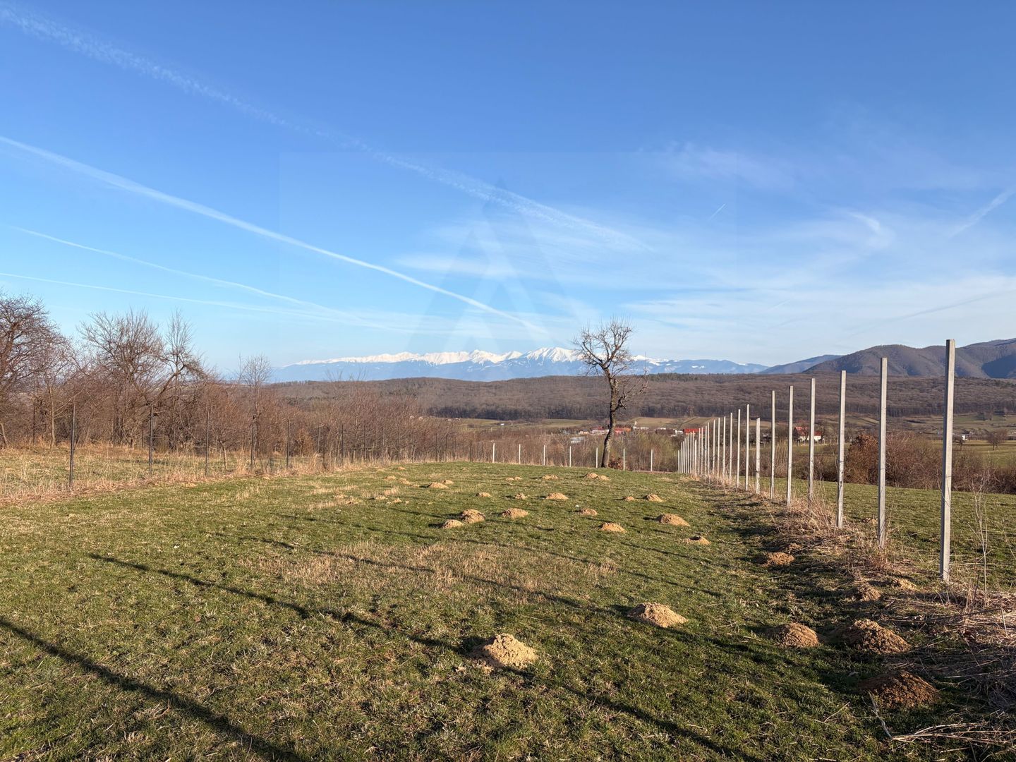 Teren intravilan 809 mp de vânzare – Tropinii Noi-Sibiu - Poză 5