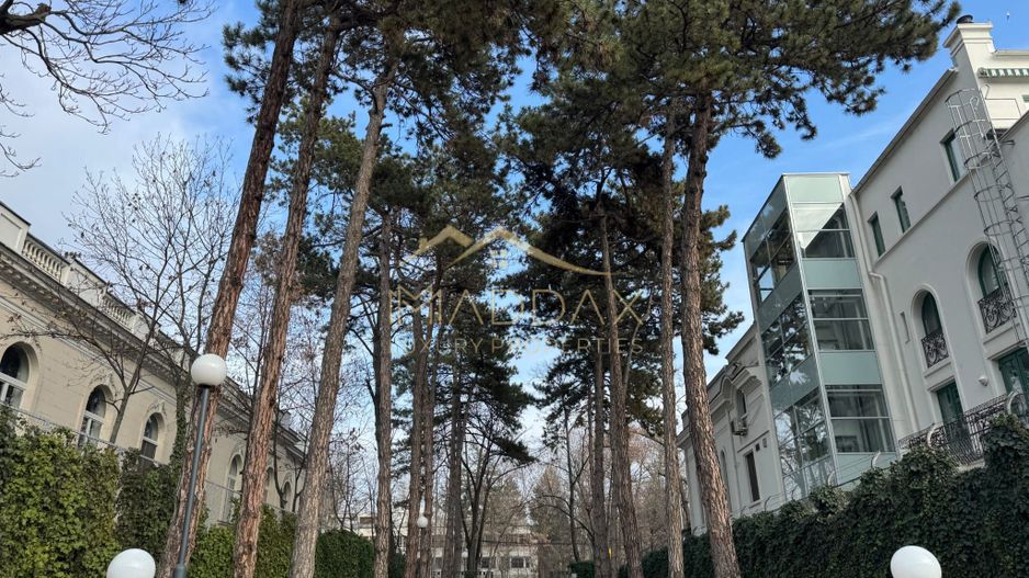 Spațiu Comercial de Lux – Kiseleff *376mp - Poză 15