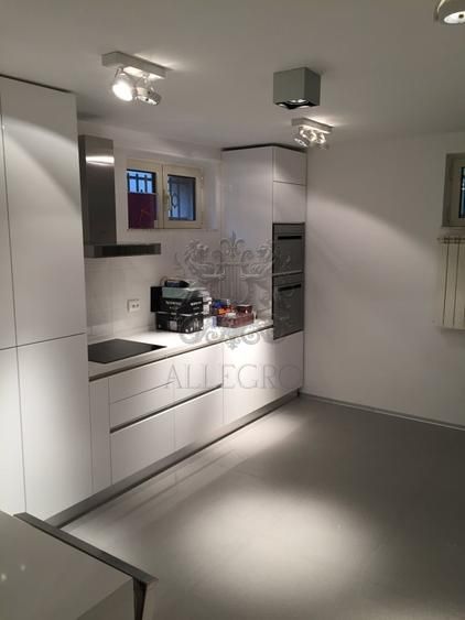 Apartament in Vila | Dorobanti | 221 mp | Parter Inalt + Demisol - Poză 8