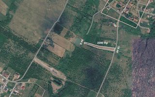 Teren intravilan de 2200 mp în Paleu – Front stradal 18 ml - Poză 4
