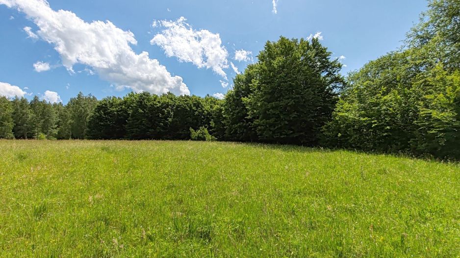 2,6 HA TEREN EXTRAVILAN FANEATA, in Muntii Apuseni, Negreni, jud. Cluj - Poză 3