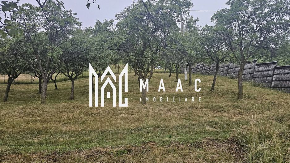 Casă 1 cameră de vânzare | Rădăcinești, Vâlcea | 5500 mp teren - Poză 9