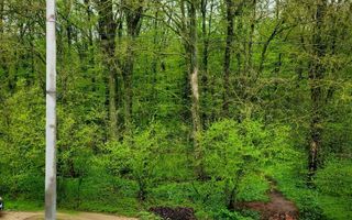 Duplex 4 camere | Tunari | Curte & Pădure - Poză 3