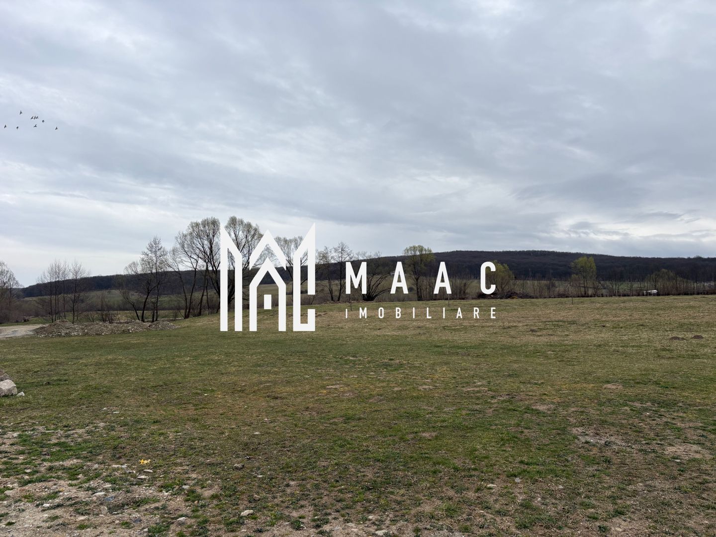 Teren intravilan Tocile, 660 mp, deschidere 17 m, utilități - Poză 2