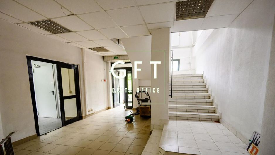 Proprietate speciala | Hale de productie si birouri - Poză 6