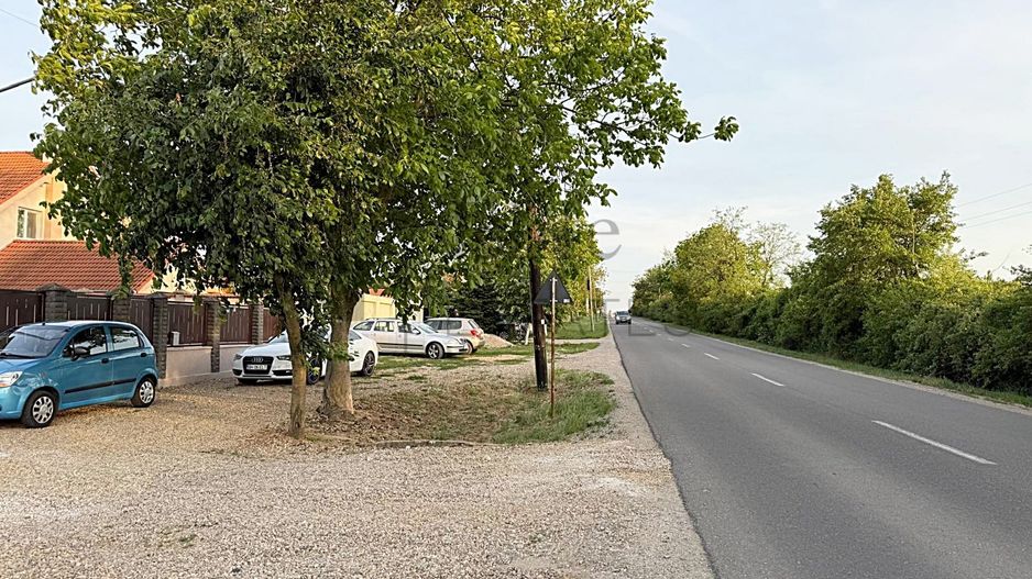 Teren 600 mp de vanzare in Paleu | Str. Principala - Poză 8