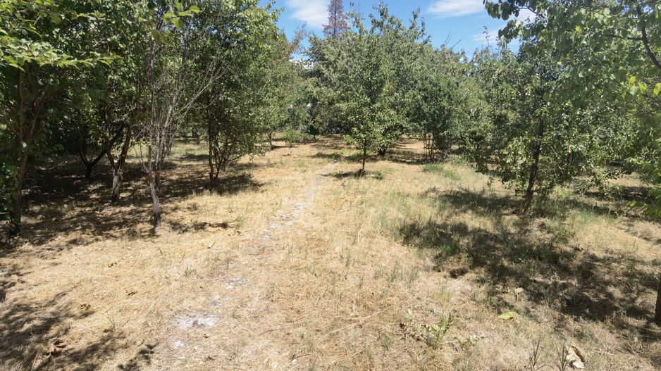 Spatiu industrial zona Sud-Arad - Poză 28