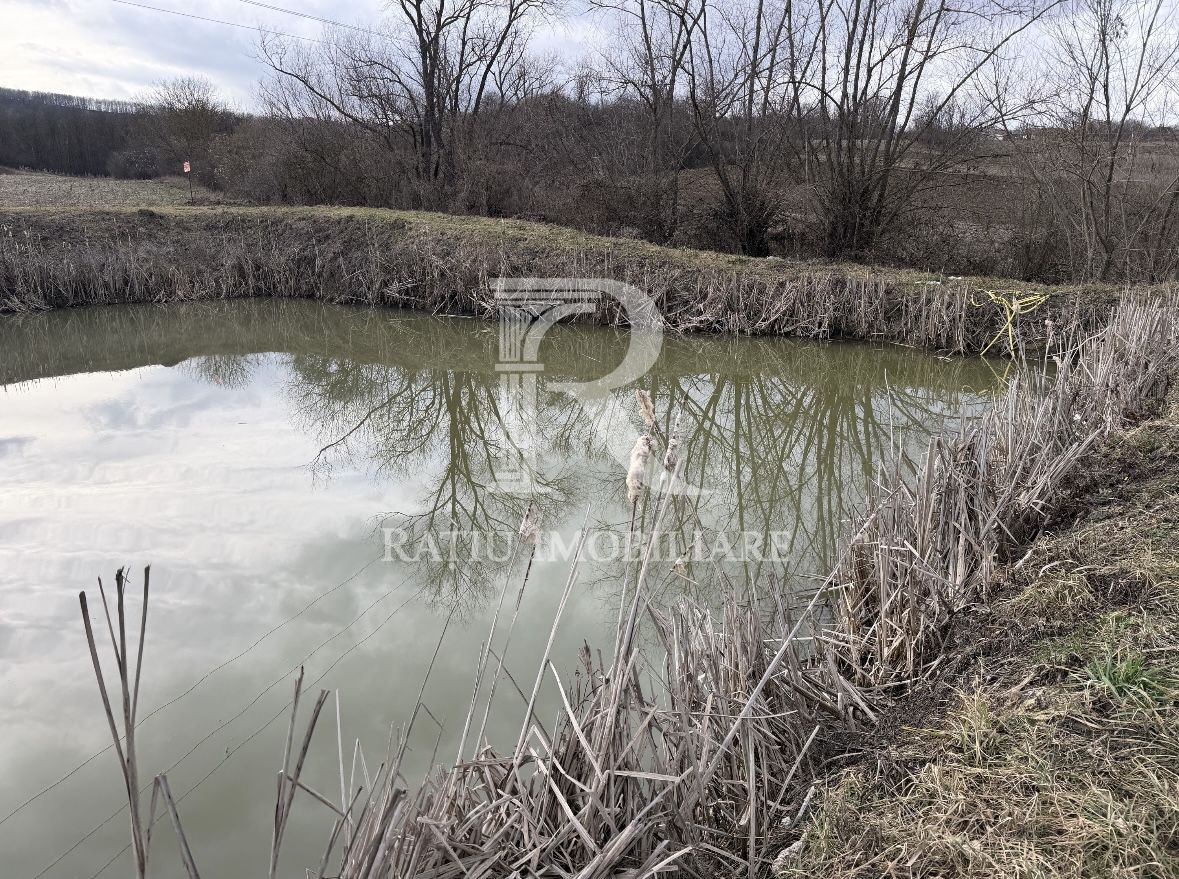 Pescărie cu teren intravilan | Drăgești | Bihor - Poză 5