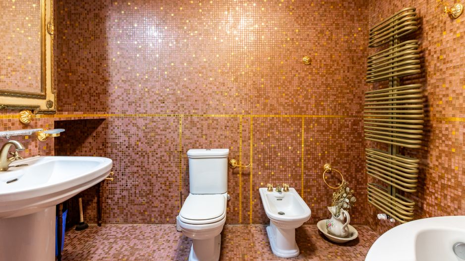 Casa/Vila Premium de vanzare Lacul Snagov / ponton / piscina / barca - Poză 11