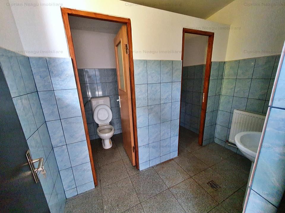 Hala De Inchiriat, zona Depozitelor Pitesti - Poză 18