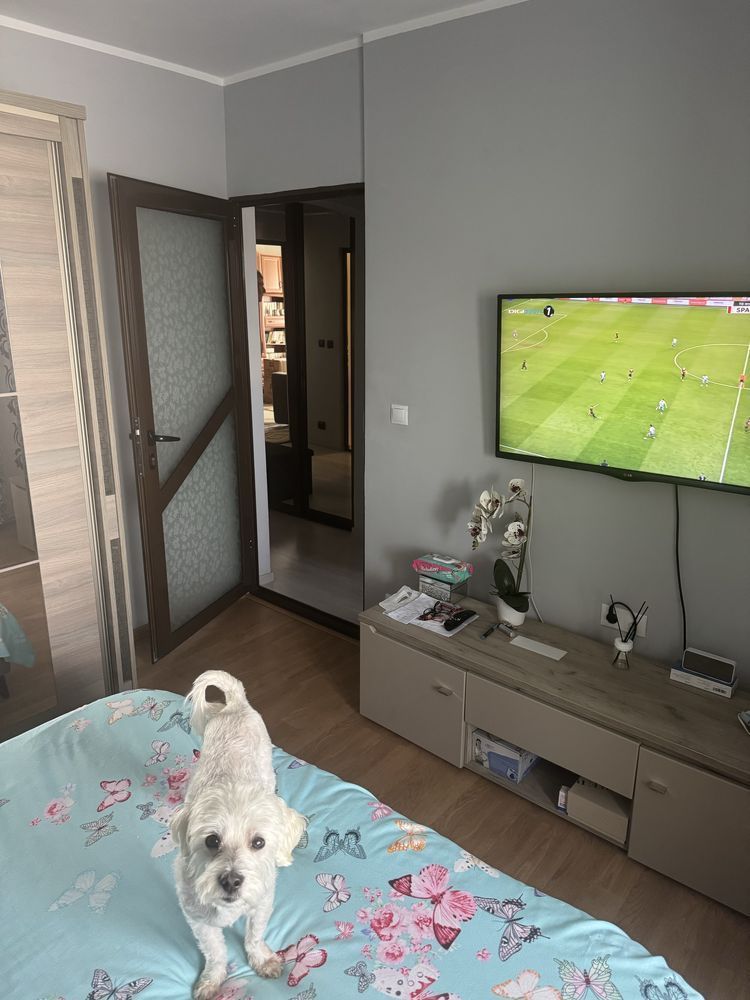 Apartament 2 dec MIcro 39 C, 2 balcoane - Poză 5