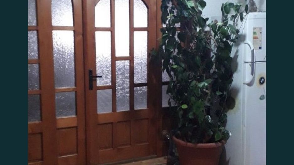 Vand casa Lazuri, Jud.SM - Poză 8