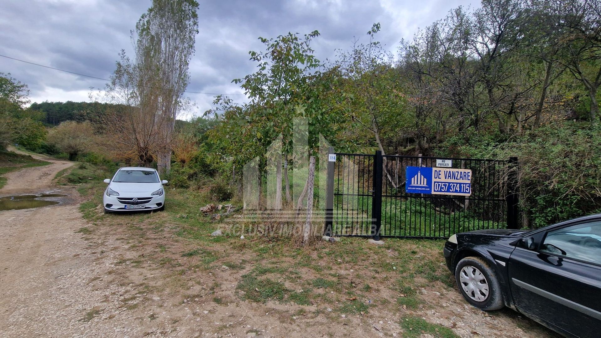 Casa cu livada in Cetea - Poză 11