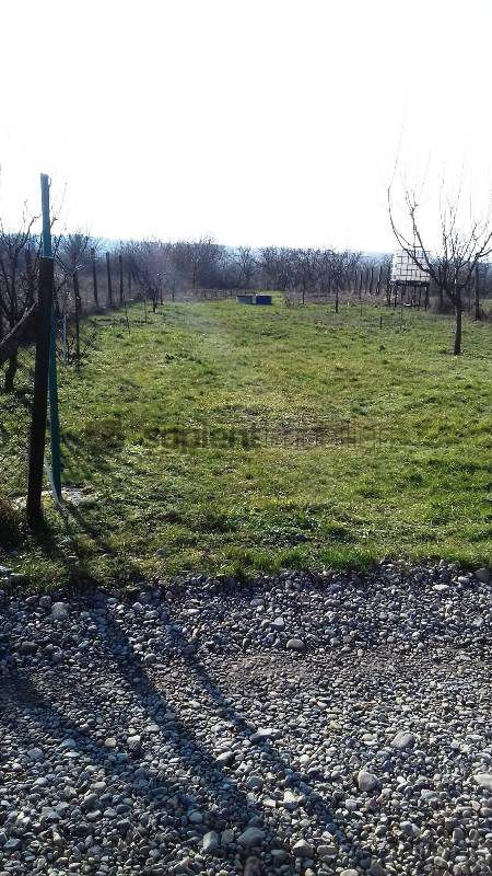 Teren extravilan in zona Oncea - Poză 7