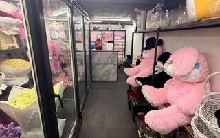 Vânzare, spațiu comercial, bd. Moscovei, Rîșcani - Poză 2