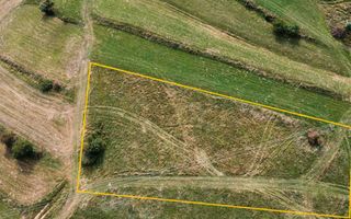 Teren de Vanzare Zarnesti | Utilitati | 3.698mp - Poză 4