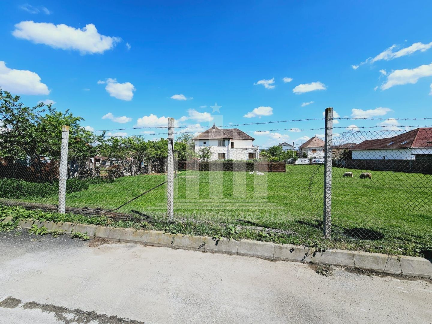 Teren intravilan de vanzare, Cetate - Poză 3