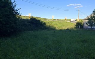 Teren de vanzare in Martinesti - Poză 4