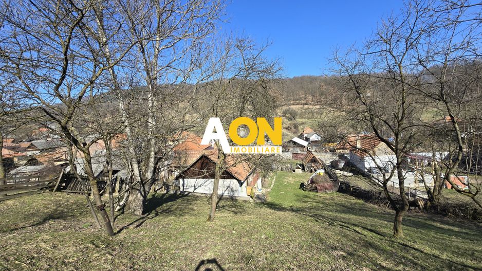 Casa de Vacanta 2 Camere, Strada Morilor Zlatna - Poză 12