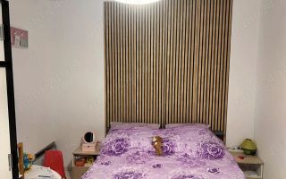 Ap 2 camere Canta Pacurari - Poză 4