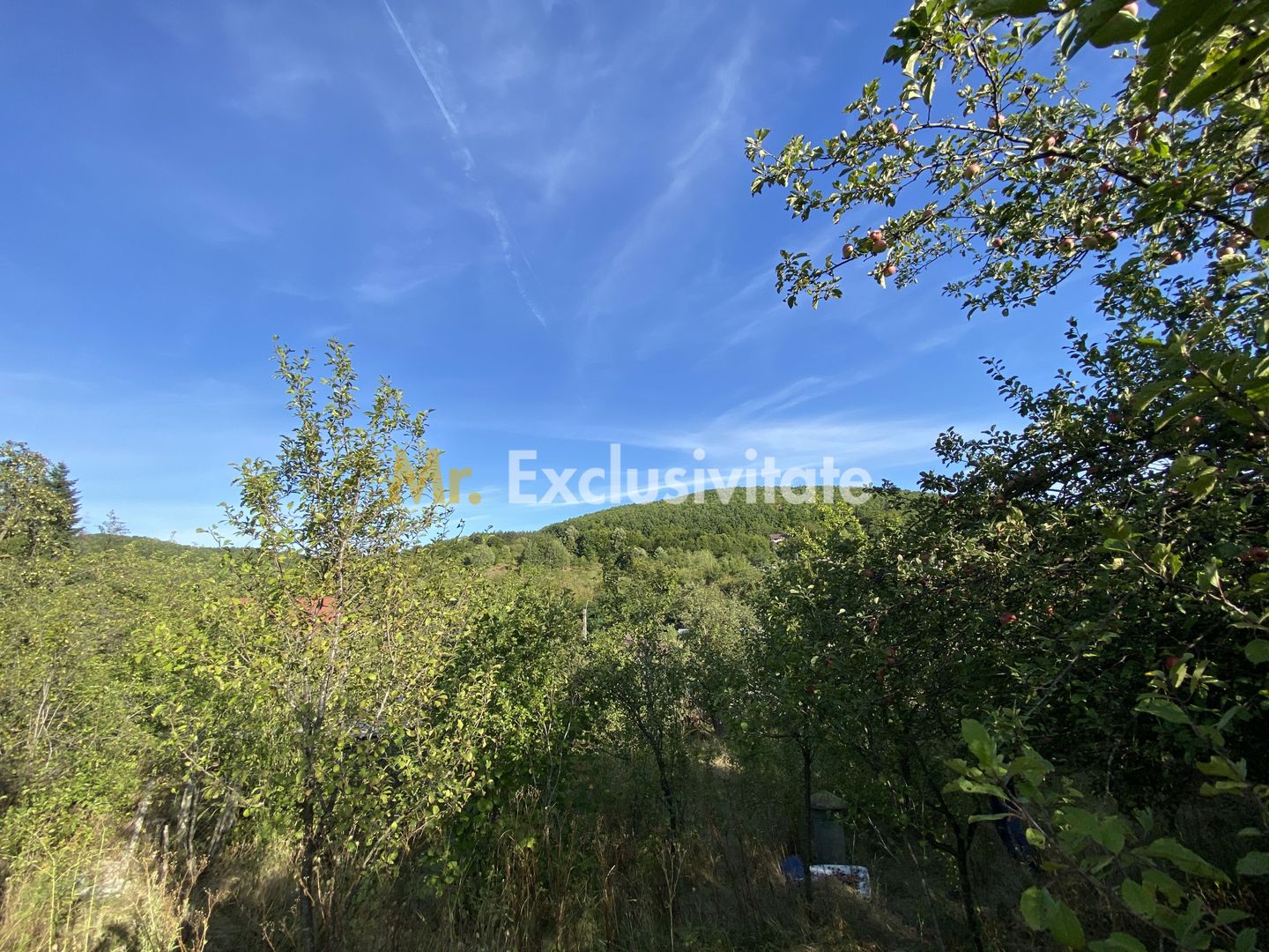 CASA + TEREN 1.002 MP | Stefanesti – Valea Mare Enculescu-Arges - Poză 10