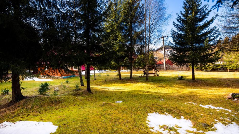 Cabane cu 10 camere Arieseni - Poză 20