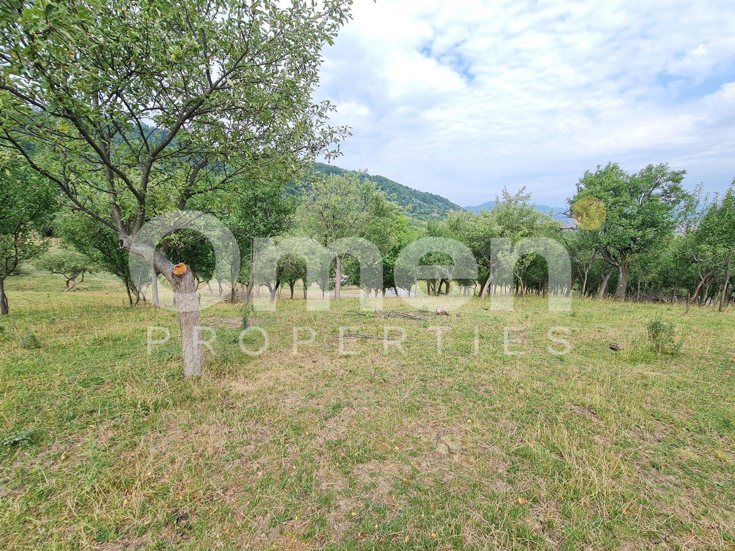 Teren de vânzare | Suprafață 10.040 mp | 2.500 € / ar | Strada Nucului - Poză 6