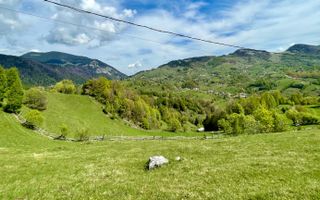 Teren in sat Pestera, comuna Moeciu. - Poză 4