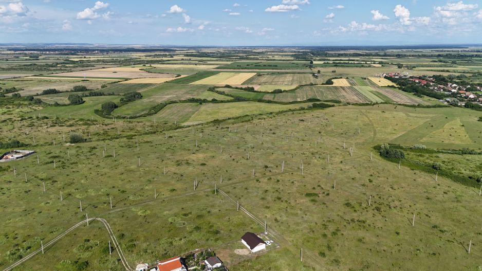 Terenuri zona  MOSNITA NOUA -  ALBINA . - Poză 5